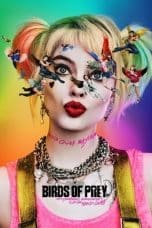 Nonton film Birds of Prey (and the Fantabulous Emancipation of One Harley Quinn) (2020) terbaru di Dutamovie21