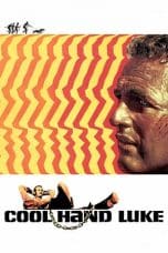 Nonton film Cool Hand Luke (1967) terbaru di Dutamovie21