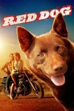 Nonton film Red Dog (2011) terbaru di Dutamovie21